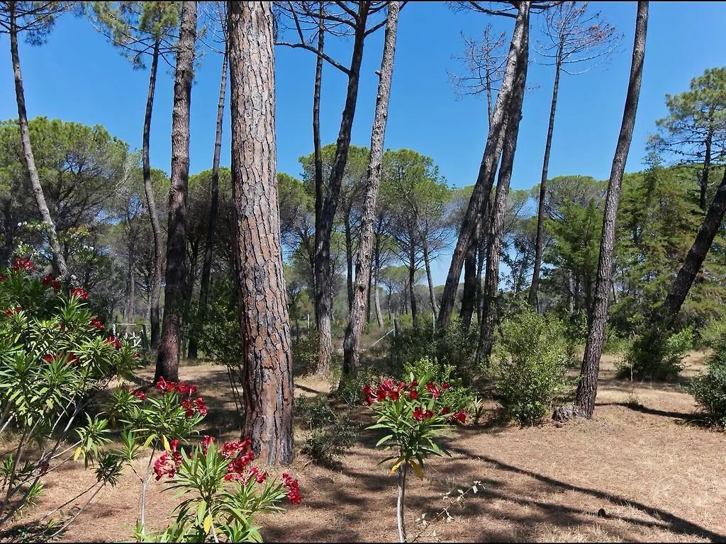 Belvilla By Oyo Il Girasole Holiday home Principina a Mare